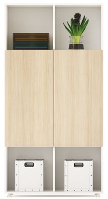 800mm 2 Doors Office File Storage Cabinet Home Decorative Storage Cabinets