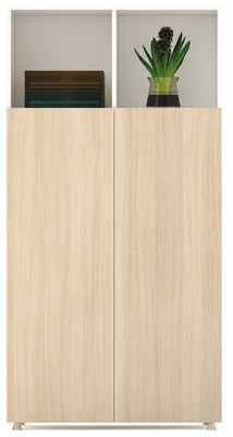 Modern 800mm 2 Doors Decorative Wood File Cabinet MFC Panel