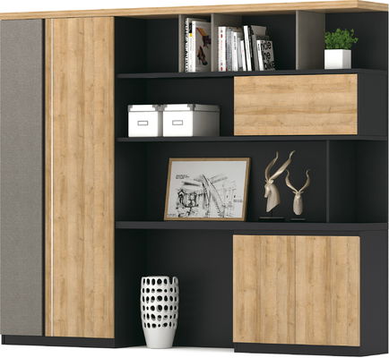 OEM ODM File Storage Cabinets For Office Modern ISO9001