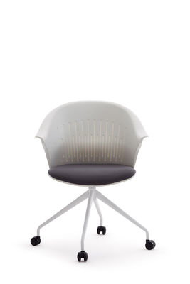 Modern PP Office / School Training Room Chairs With Cotton Pad
